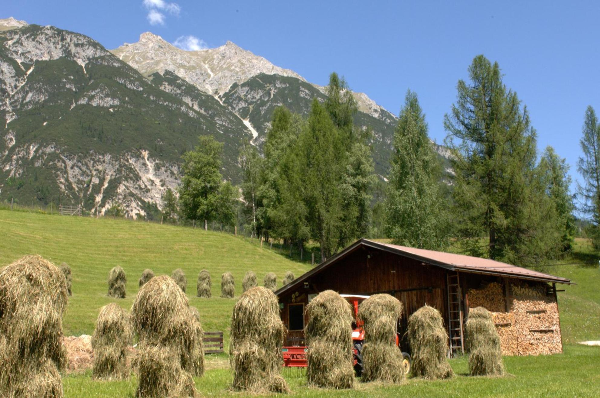 Haus Elisengrund Am Geigenbuehel - Chalet Prive Seefeld in Tirol Luaran gambar